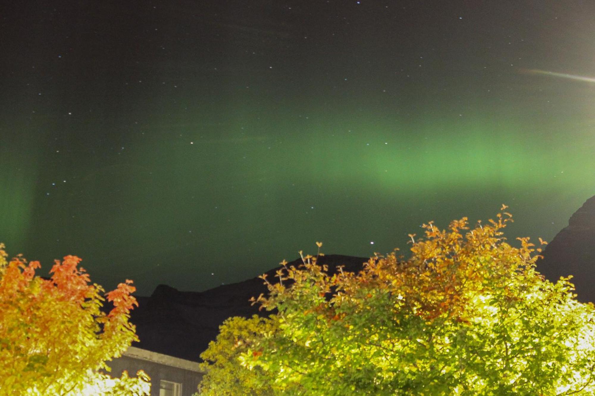 Hotel Austur Reydarfjordur Екстер'єр фото